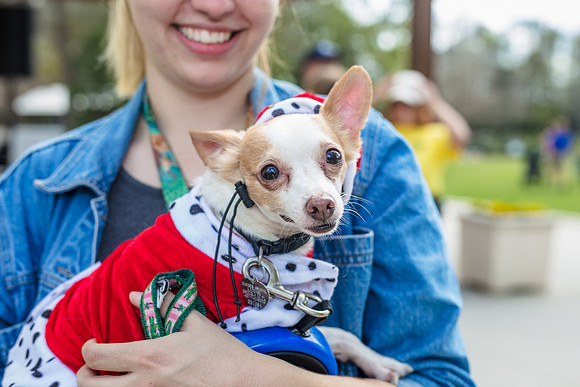 Celebration-Posh-Pooch-2330