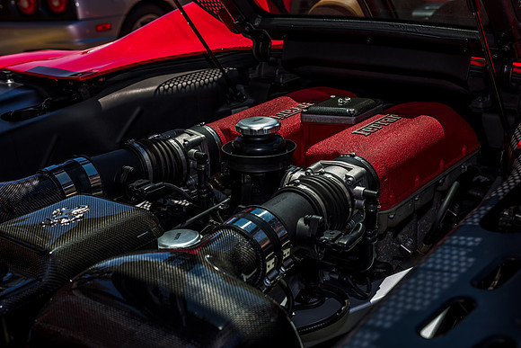 Exotic_Car_Show_2017_Celebration-1128.jpg