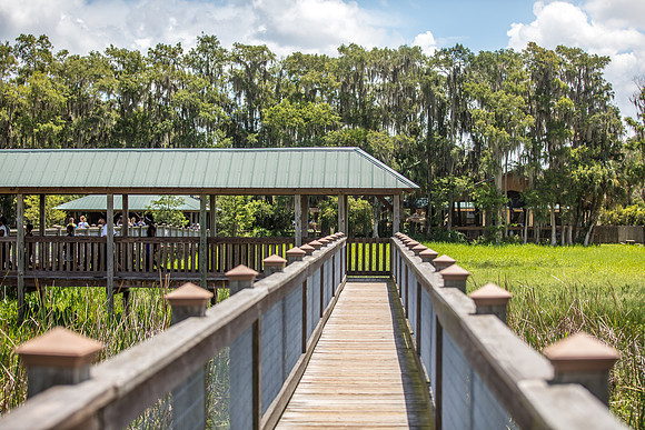 Wild Florida Airboats & Gator Park