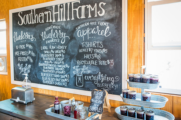 Southern-Hills-Blueberry-Farm-1398.jpg