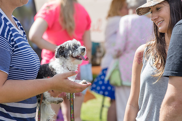 Celebration-Posh-Pooch_0219