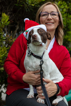 Maarit-Stigell-Christmas-2246