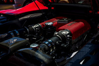 Exotic_Car_Show_2017_Celebration-1128.jpg