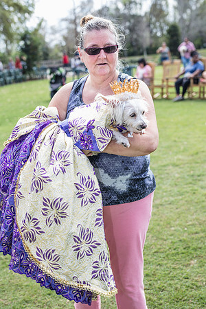Celebration-Posh-Pooch-2334
