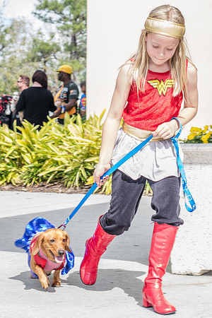 Celebration-Posh-Pooch-2344