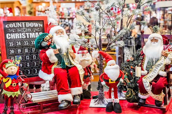 Celebration-Christmas-shop_7137