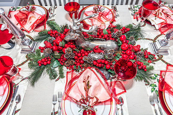 Celebration-Holiday-Home-Tour-2022_Stop6-866-Spring-Park-Loop-6902