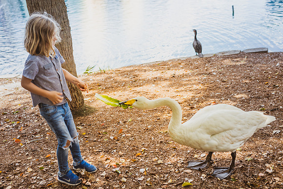 Lake-Eola-Orlando-3510.jpg