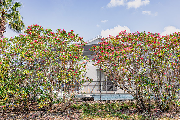 20240506-Real-Estate-Airbnb_16700-Glenbrook-blvd-Clermont-9676