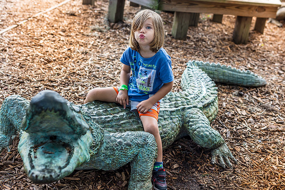 Wild Florida Airboats & Gator Park