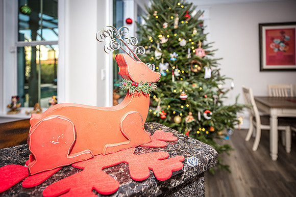Celebration-Holiday-Home-Tour-2022_Stop4-515-Longmeadows-St-6812