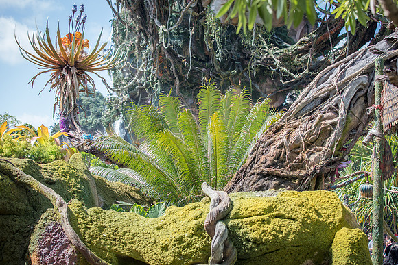 Pandora-Disney-Animal-Kingdom-2787.jpg