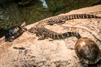 Orlando-Science-Center-2899.jpg