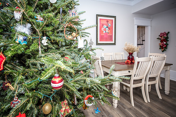 Celebration-Holiday-Home-Tour-2022_Stop4-515-Longmeadows-St-6798