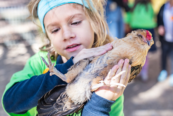 Green-Meadows-Farm-School-Field-Trip-8244.jpg