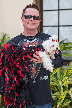 Celebration-Posh-Pooch-2356