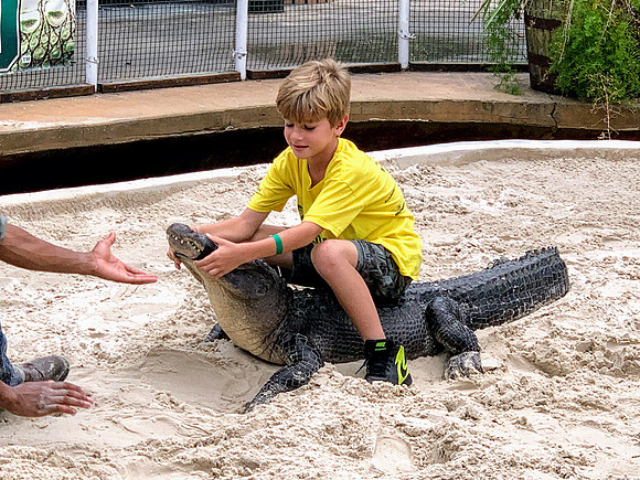 Gatorland-Henry-5952