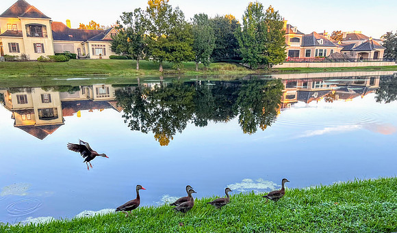 Celebration-nature_3560