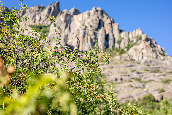 Crimea-Jeep-Tour-9180