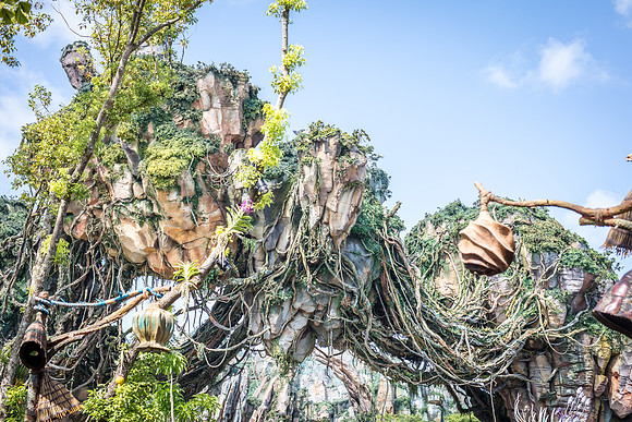 Pandora-Disney-Animal-Kingdom-2767.jpg