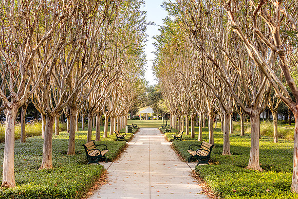 Celebration-Longmeadows_7579
