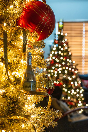 Celebration-Holiday-Home-Tour-2022_Stop2-300-Charleston-Pl-6569-