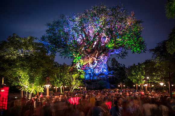 Disney-Animal-Kingdom-2730.jpg