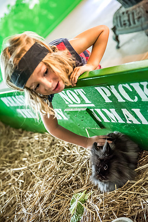 Green-Meadows-Farm-9117.jpg