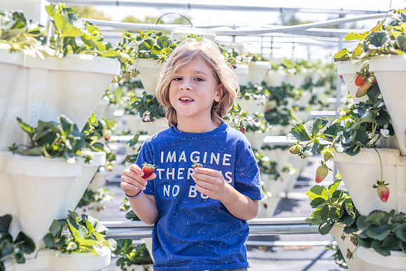 Strawberry-Farm-Orlando-3115