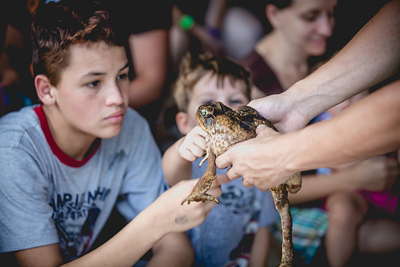 Wild Florida Airboats & Gator Park