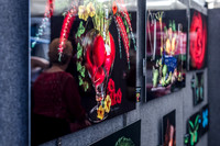 Gasparilla-Art-Festival-Tampa-2401