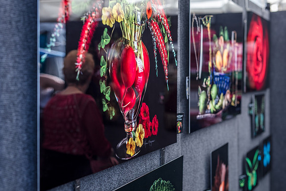 Gasparilla-Art-Festival-Tampa-2401