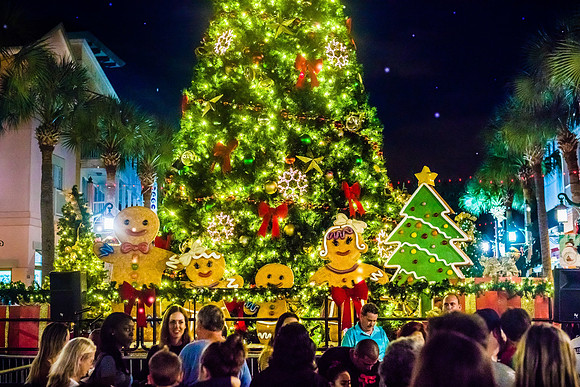 Celebration-Christmas_3591