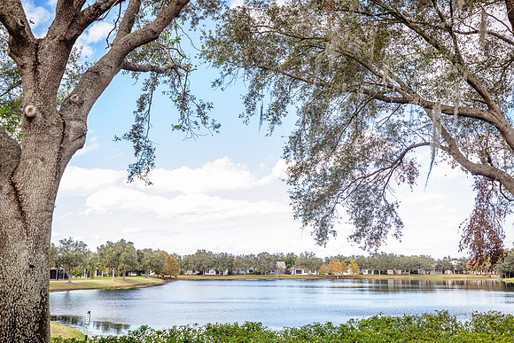 20241117-Real-Estate-13486-Sunkiss-Loop-Windermere-3580
