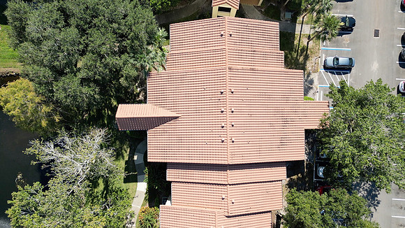 20241014-Blossom-Park-Villas-008