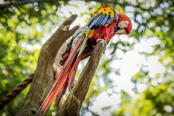 Disney-Animal-Kingdom-8496.jpg