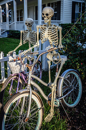 Halloween-Houses-Celebration-2024-2755