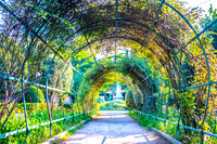 Crimea-Alushta-Yalta-9519-