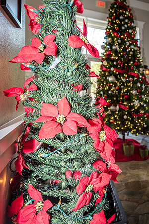 Celebration-Holiday-Home-Tour-2022_Stop7-1343-Celebration-Ave-7107
