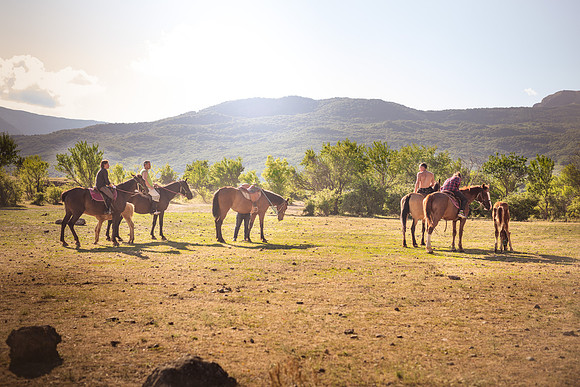 Crimea-Jeep-Tour-9130horses