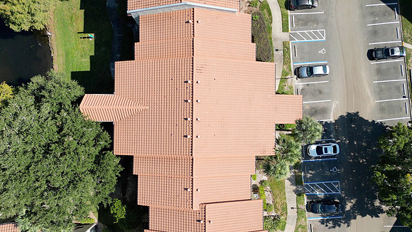 20241014-Blossom-Park-Villas-010