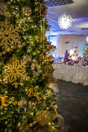 Celebration-Holiday-Home-Tour-2022-Stop1-851-Celebration-Ave-Town-Hall-6828