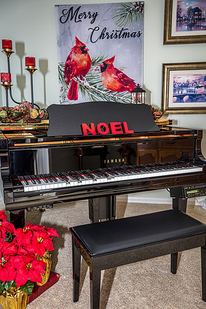 Celebration-Holiday-Home-Tour-2022_Stop5-1204-Downey-Pl-7165