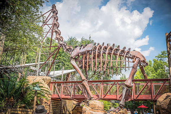 Disney-Animal-Kingdom-8518.jpg