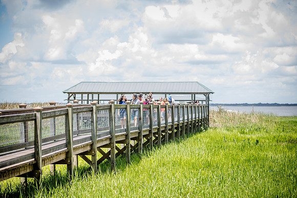 Wild Florida Airboats & Gator Park