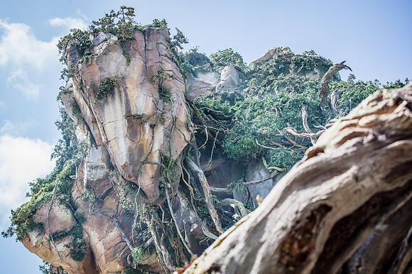 Pandora-Disney-Animal-Kingdom-2789.jpg