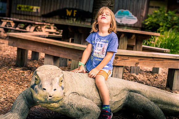 Wild Florida Airboats & Gator Park