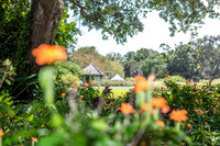 Leu Gardens Orlando