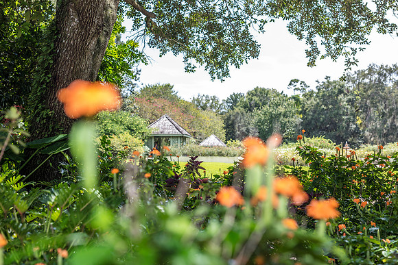 Leu Gardens Orlando