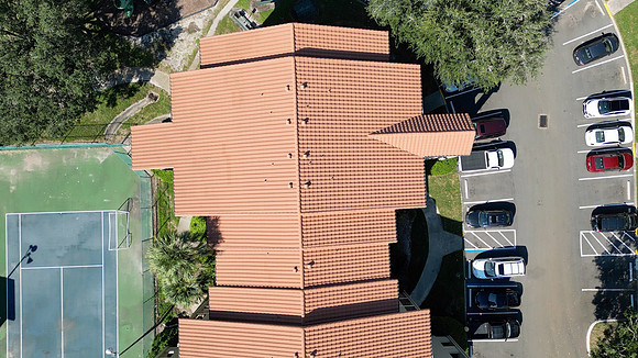 20241014-Blossom-Park-Villas-019